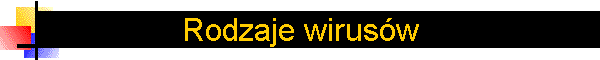 Rodzaje wirusw